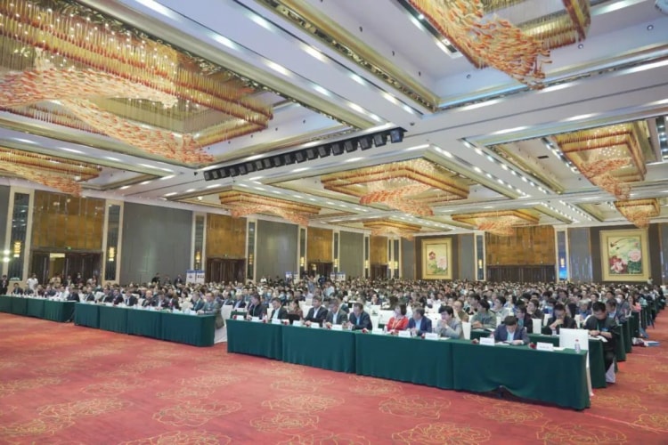 a10adfa601d594fec9cb628f090ce994.jpg